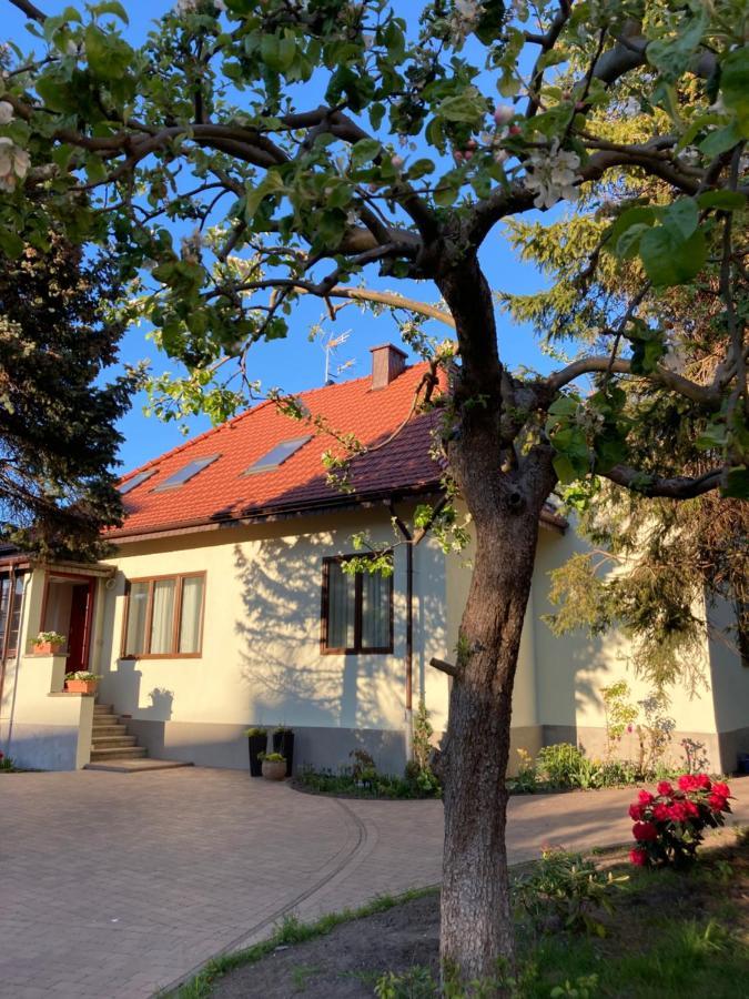 Willa Witkacy Słupsk Kültér fotó
